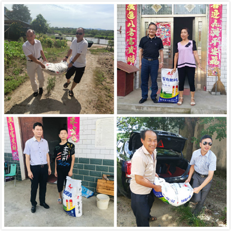 OK138̫�����Ź���